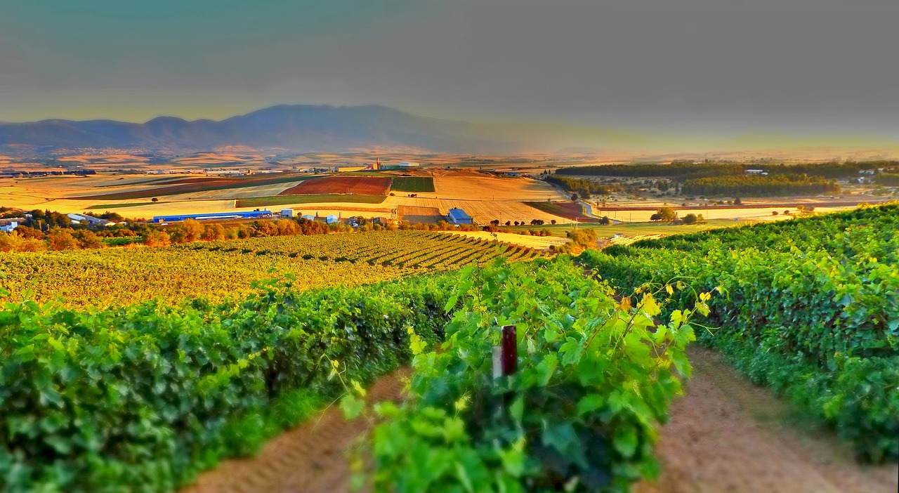 Toscane